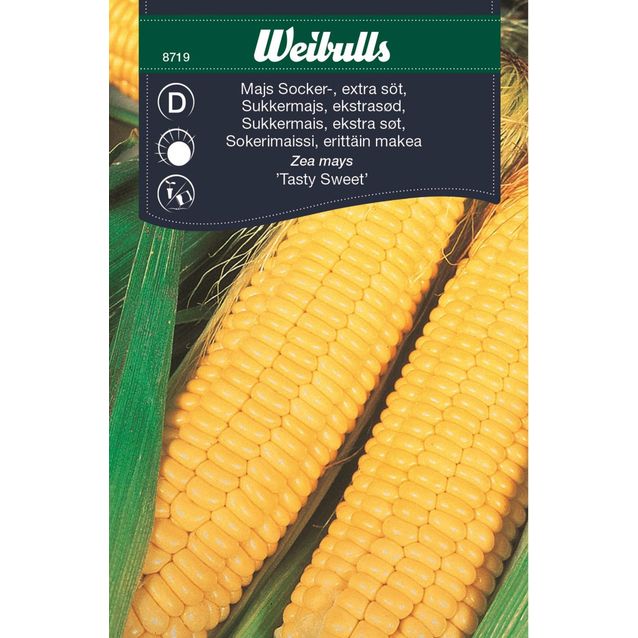 Maissi Weibulls sokerimaissi makea siemenet