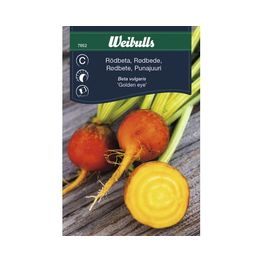 Punajuuri Weibullsgolden Eye keltainen siemenet