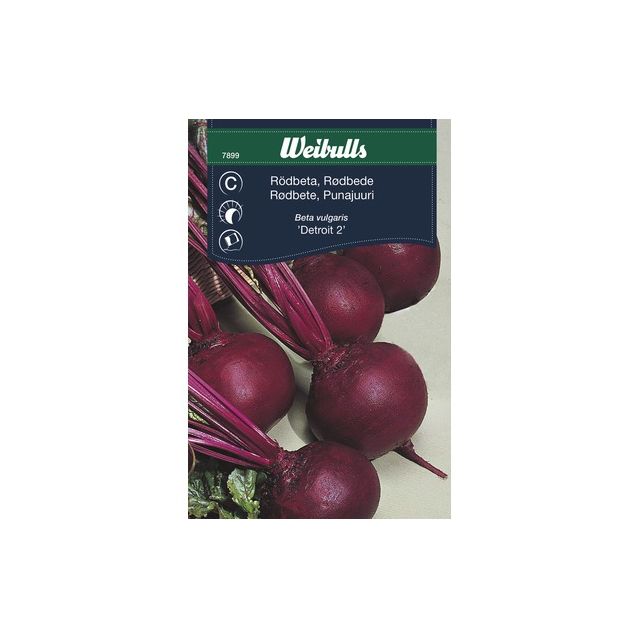 Punajuuri Weibulls Detroit 2 pyöreä siemenet