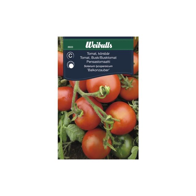 Kirsikkatomaatti Weibulls Frö