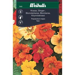 Krassi Weibulls kaksinkertainen köynnöskrassi siemenet