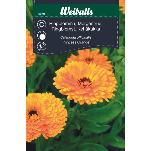 Kehäkukka Weibulls Princess siemenet