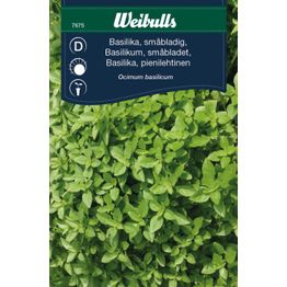 Basilika Weibulls pienilehtinen siemenet