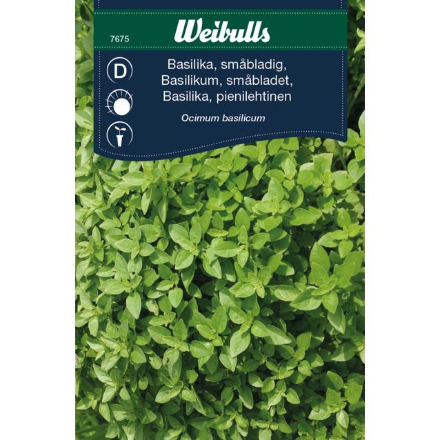 Basilika Weibulls pienilehtinen siemenet