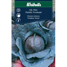 Kaalinsiemenet Weibulls punakaali