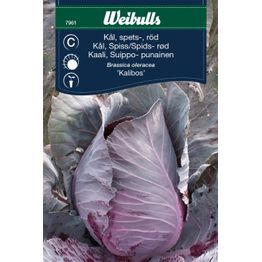 Kaalinsiemenet Weibulls suippokaali punainen