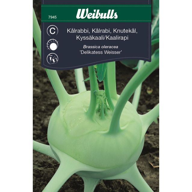 Kyssäkaali Weibulls Delikat.Weisser siemenet