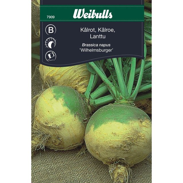 Lanttusiemenet Weibulls