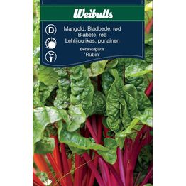 Mangold Weibulls punainen Rubin siemenet