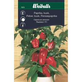 Paprika Weibulls pensas siemenet