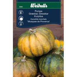 Kurpitsa Weibulls Musquee de Provence siemenet