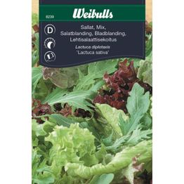 Salaatin siemenet Weibulls baby leaf mix
