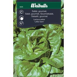 Salaatin siemenet Weibullsgourmet