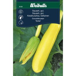 Kesäkurpitsan siemenet Weibulls Solei