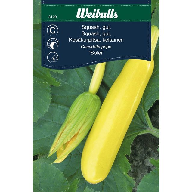 Kesäkurpitsan siemenet Weibulls Solei