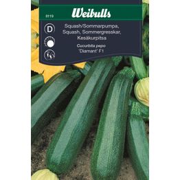 Kesäkurpitsan siemenet Weibulls vihreä
