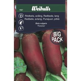 Punajuurikkaan siemenet Weibulls Forono suurpakkaus