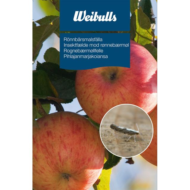 Pihlajanmarjakoiansa Weibulls