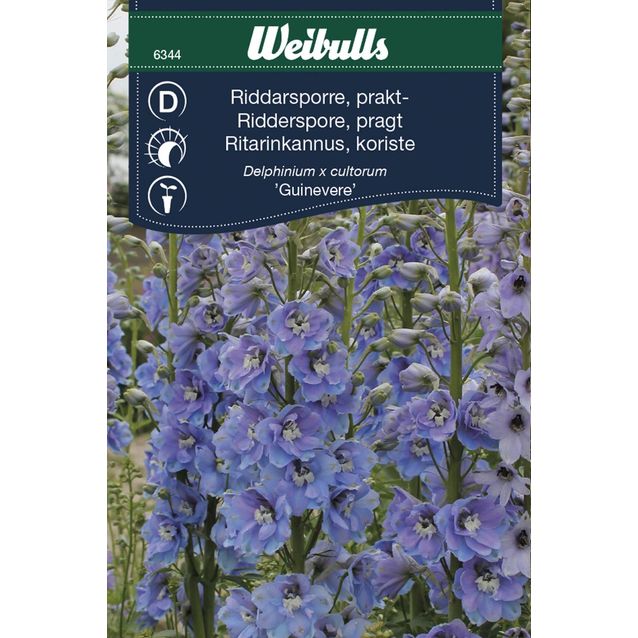 Ritarinkannus Weibullsguinevere siemenet