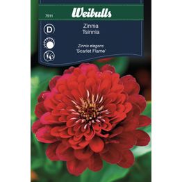 Zinnia Weibulls Scarlet Flame Frö