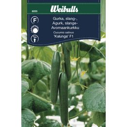 Kurkku Weibulls kasvihuonekurkut KRAV siemenet