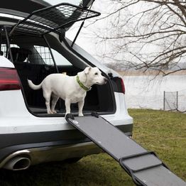 Koiraramppi Artfex universaali malli autoon