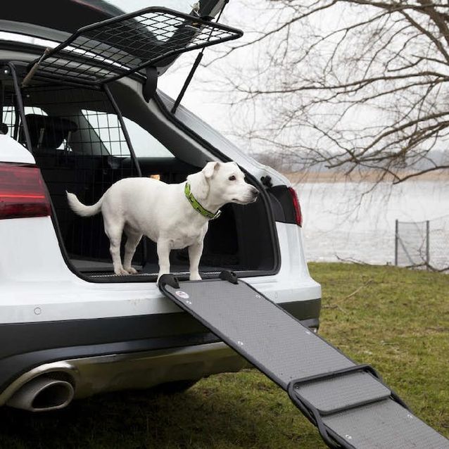 Koiraramppi Artfex universaali malli autoon