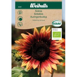 Auringonkukan siemenet Weibulls KRAV punainen