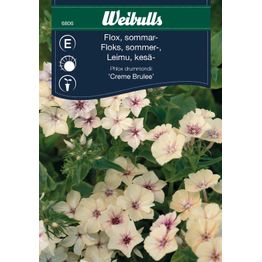 Floksi Weibulls Creme Brulee