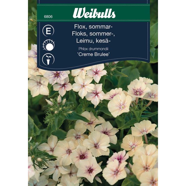 Floksi Weibulls Creme Brulee