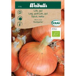 Sipuli Weibulls keltainen KRAV siemenet