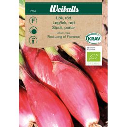 Sipuli Weibulls punasipuli KRAV siemenet