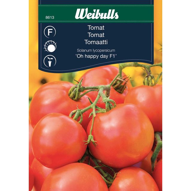 Tomaatti Oh Happy Day F1 Weibulls