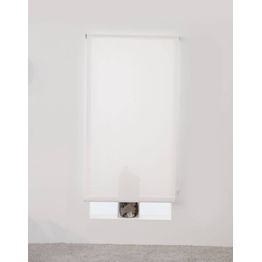 Liukurullaverho Ihanin Screen valkoinen eri kokoja