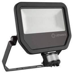 Valonheitin Ledvance liiketunnistimella 50W 3000K SYM musta