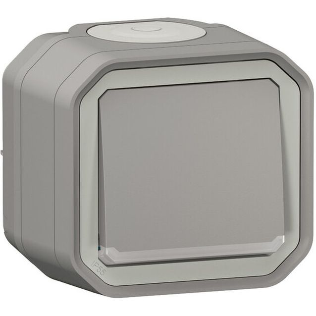 Kontrollivalollinen vaihtokytkin Legrand Plexo 10 A IP55 pinta 24 V merkkivalolla, harmaa