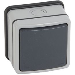 Kaksinapainen kytkin Legrand Plexo 66 20 A IP66 pinta, harmaa