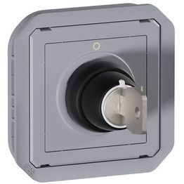 Avainkytkinmekanismi Legrand Plexo Ronis 455 2-asentoinen 3 A IP55, harmaa