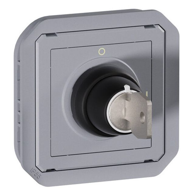 Avainkytkinmekanismi Legrand Plexo Ronis 455 2-asentoinen 3 A IP55, harmaa