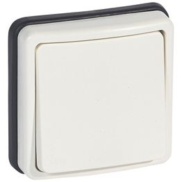 Painike Legrand Plexo 66 6 A IP66 uppo merkkivalolla, valkoinen