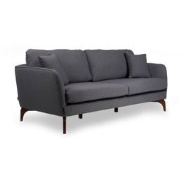 Sohva Linento Furniture Giza 2-istuttava harmaa