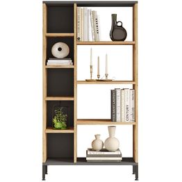 Kirjahylly Linento Furniture RL3-AA Atlantic Pine/antrasiitti