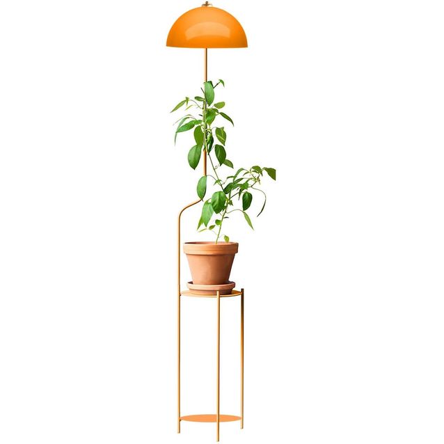 Lattiavalaisin Linento Lighting 241780, oranssi