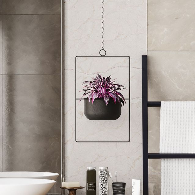 Amppeliruukku Linento Garden Parapet, Ø17cm, eri värejä