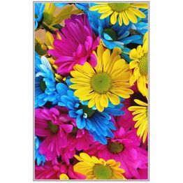 Matto Linento HMNT505, keltainen/sininen, eri kokoja