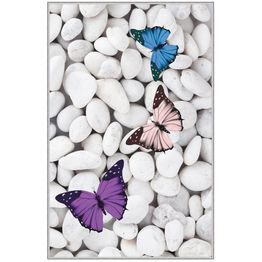 Kynnysmatto Linento HMNT530, 50x80cm, valkoinen/sininen