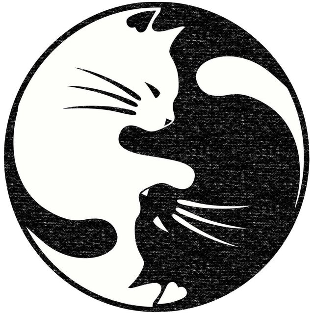 Matto Linento Eugene V3 - 4660, 160x160cm, musta/valkoinen