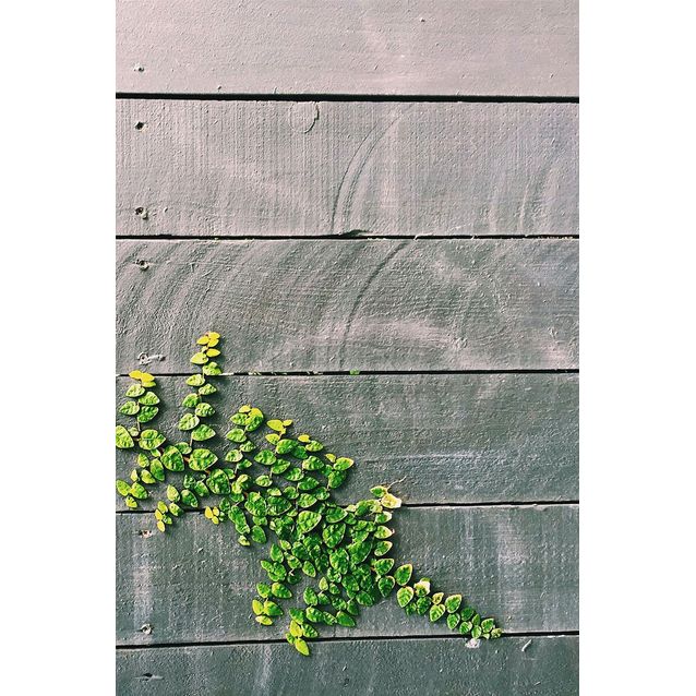 Matto Linento Wookece190, 60x100cm, harmaa/vihreä