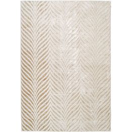 Matto NOKOHOME Latte beige, eri kokoja