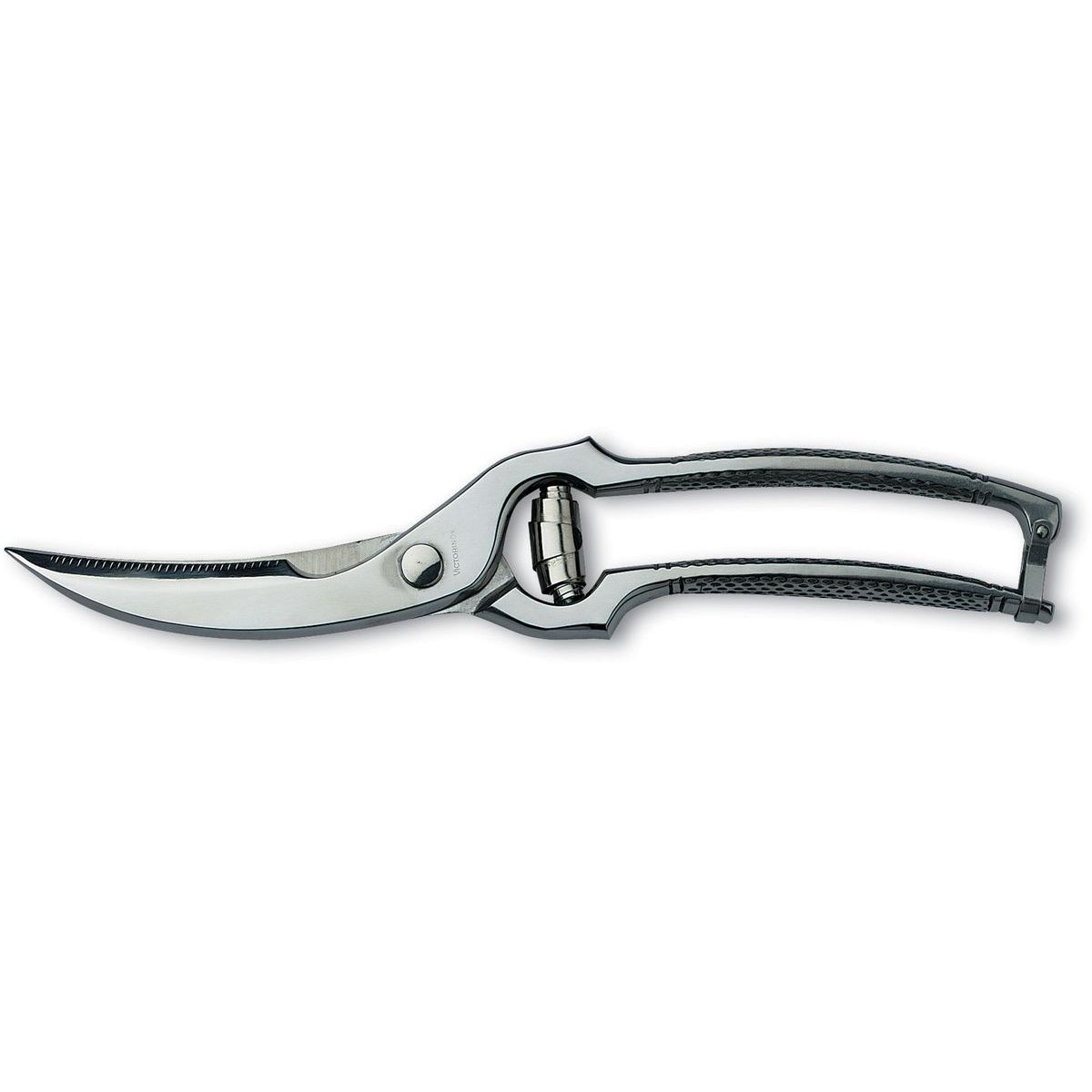 Lintusakset Victorinox 25cm jousella